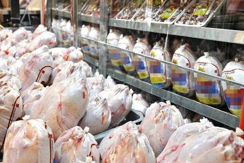 اظهارنظر رییس اتحادیه مرغداران درباره قیمت تخممرغ/ عرضه پایینتر از نرخ مصوب اظهارنظر رییس اتحادیه مرغداران درباره قیمت تخممرغ/ عرضه پایینتر از نرخ مصوب