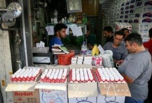 هر شانه تخم مرغ ۳۰ عددی در بازار چند؟ + جدول