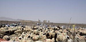 این بازار از طلا و دلار هم پرسودتر است!