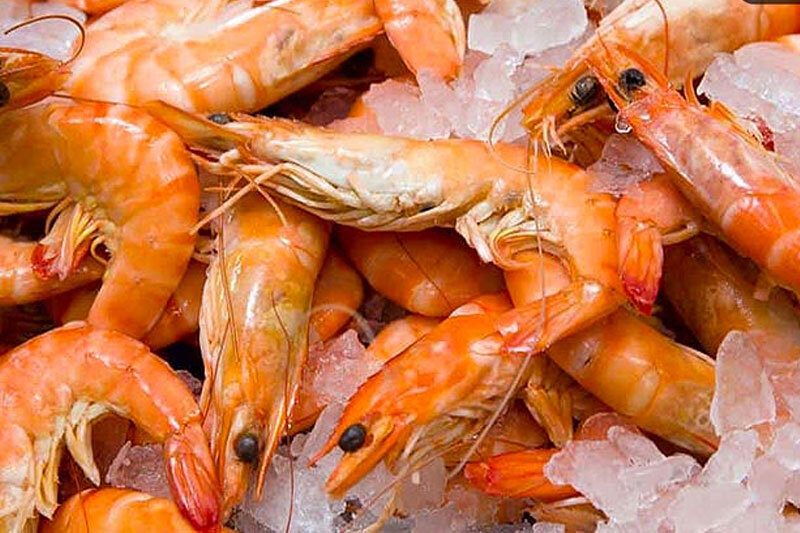 خبر برگشت میگوی پرورشی بوشهر از کشور چین صحت ندارد خبر برگشت میگوی پرورشی بوشهر از کشور چین صحت ندارد