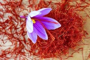 گزارش نگران کننده رسانه آمریکایی از کاهش شدید تولید زعفران ایرانی/ امسال یک فاجعه بود
