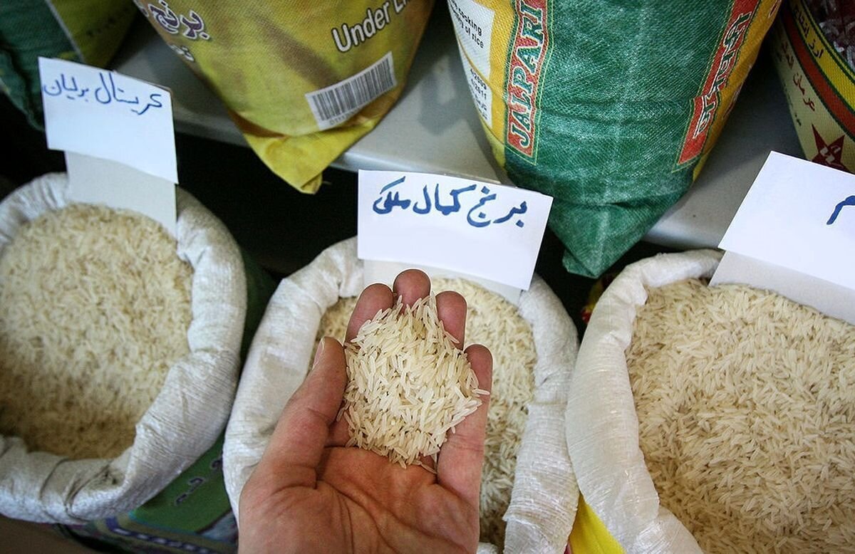 قیمت برنج پاکستانی از ایرانی گرانتر شد! + جدول برندهای پرفروش قیمت برنج پاکستانی از ایرانی گرانتر شد! + جدول برندهای پرفروش