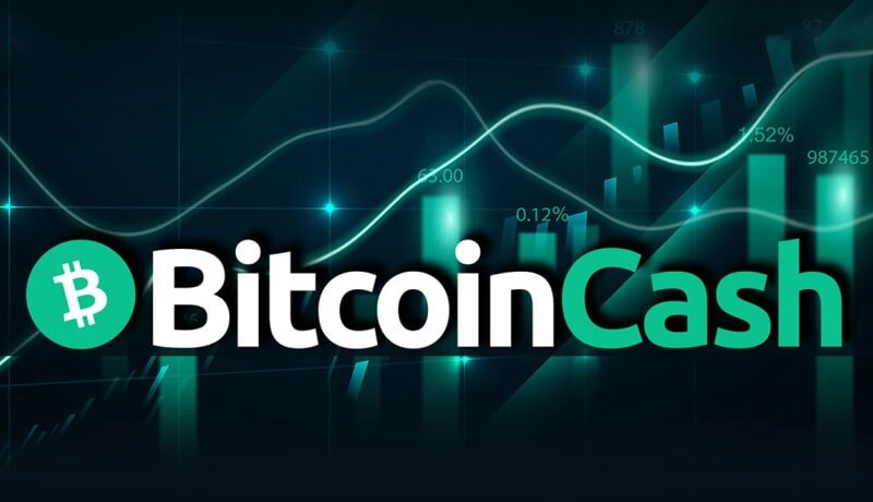 بازگشت نهنگها به بازار بیتکوین کش در آستانه هاوینگ! منتظر رشد قیمت BCH باشیم؟ بازگشت نهنگها به بازار بیتکوین کش در آستانه هاوینگ! منتظر رشد قیمت BCH باشیم؟