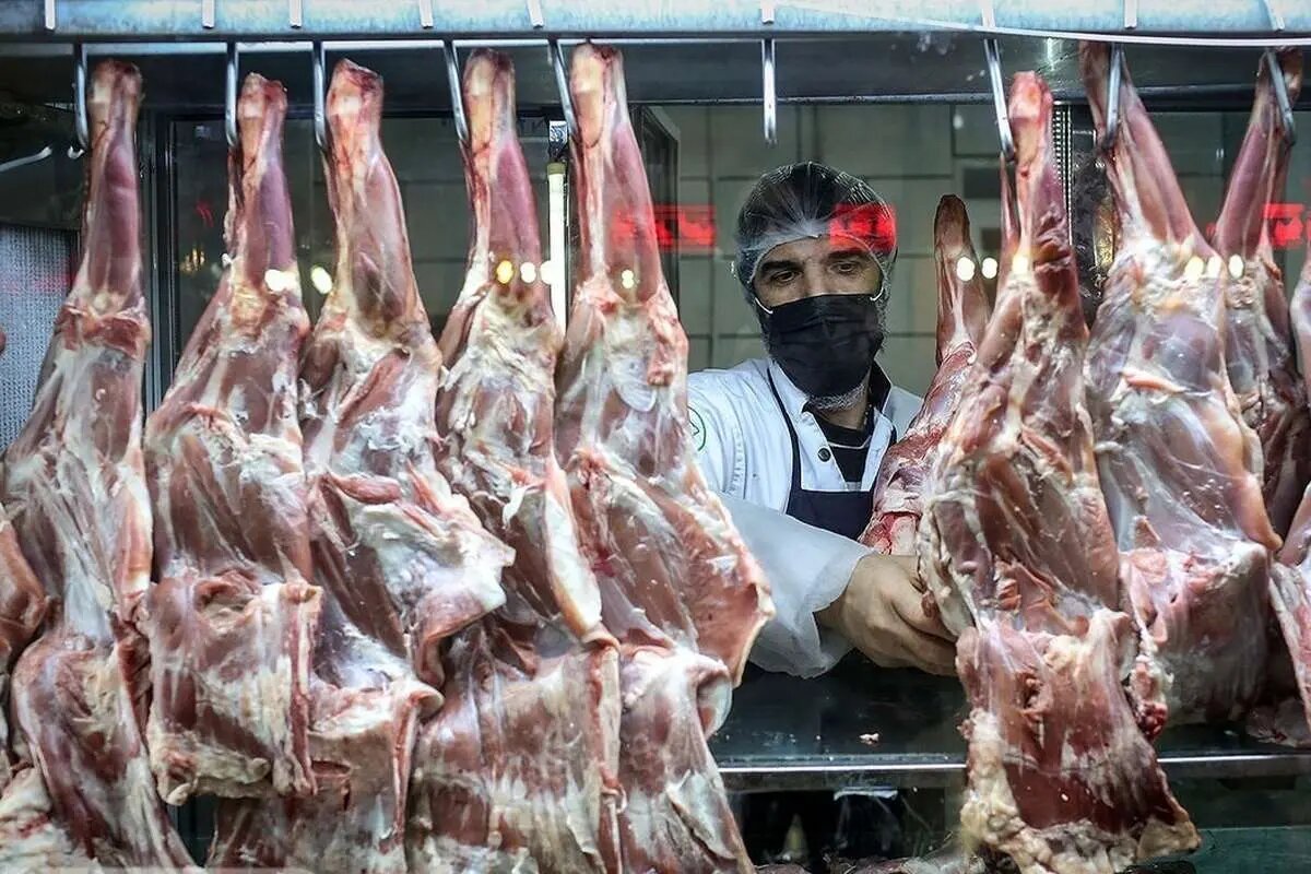 سیگنال از آفریقا به بازار گوشت ایران/ گوشتهای جدید از آفریقا میرسند سیگنال از آفریقا به بازار گوشت ایران/ گوشتهای جدید از آفریقا میرسند