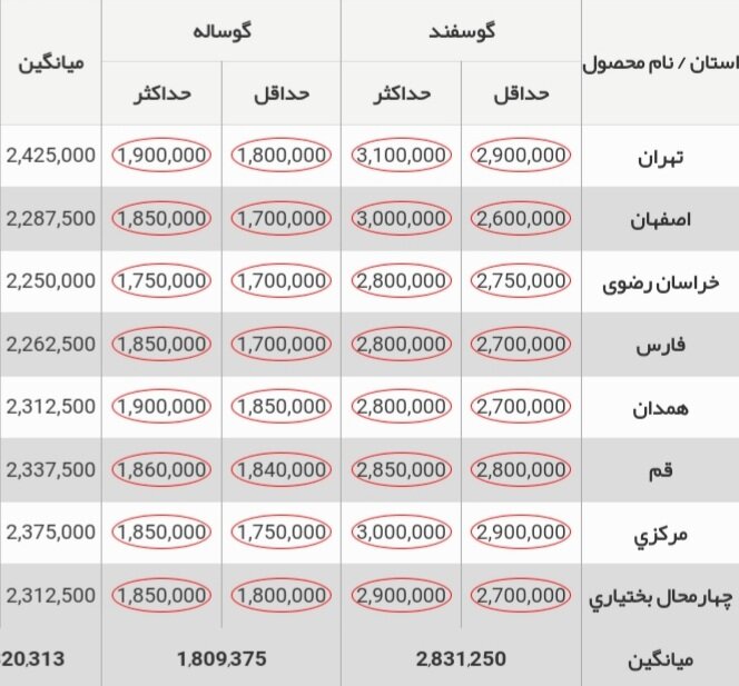 قیمت جدید دامزنده ۳۰ آبان ۱۴۰۳ اعلام شد/ گوسفند و گوساله ارزان شد؟ + جدول