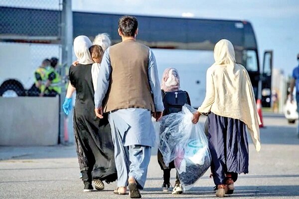 افغان ها اجاره بهای مسکن را بالا کشیدند افغان ها اجاره بهای مسکن را بالا کشیدند