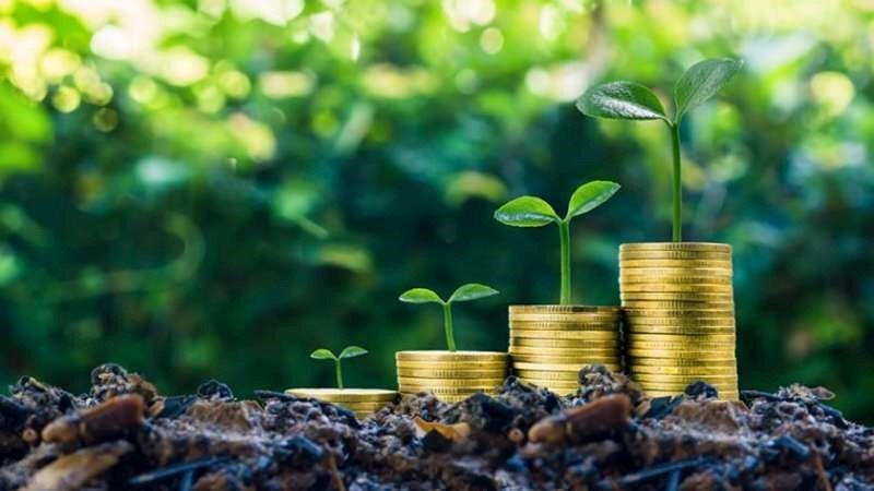 چطور یک سرمایهگذاری با ریسک کم و سود مطمئن داشته باشیم؟