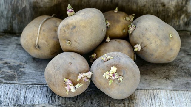 کاهش قیمت سیب زمینی به ۲۹ هزار و ۵۰۰ تومان/ گوشت قرمز را اینجا ۲۰ درصد ارزانتر بخرید کاهش قیمت سیب زمینی به ۲۹ هزار و ۵۰۰ تومان/ گوشت قرمز را اینجا ۲۰ درصد ارزانتر بخرید
