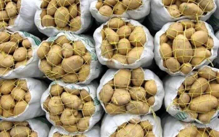 کاهش تدریجی قیمت سیبزمینی در بازار؛ ورود محمولههای جدید از جنوب کاهش تدریجی قیمت سیبزمینی در بازار؛ ورود محمولههای جدید از جنوب