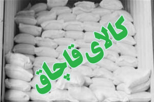 ضربه قاچاق بر پیکر اقتصاد ایران/ علیدادی: ممنوعیت‌های ۹۷، راه قاچاق را باز کرد