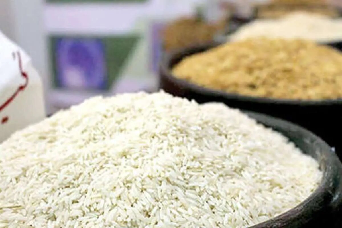 مقصر برنج ۲۵۰ هزار تومانی پیدا شد مقصر برنج ۲۵۰ هزار تومانی پیدا شد