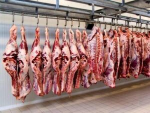 این همه یارانه می دهید، باز هم قیمت گوشت همسطح بازارهای جهانی است