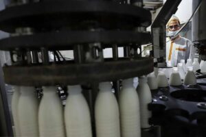 قیمت جدید شیر خام مشخص شد