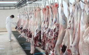 سازمان دامپزشکی: فهرست کشتارگاه‌های مجاز افغانستان در دست بررسی است/ پاکستان لیست داد