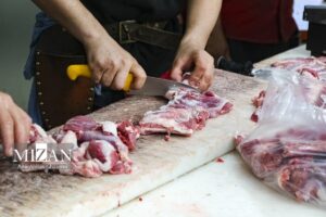 قیمت جدید دام‌زنده امروز ۱۰ فروردین ۱۴۰۵/ پوریان: گوشت ۷۵۰ هزار تومانی در بازار موجود شد