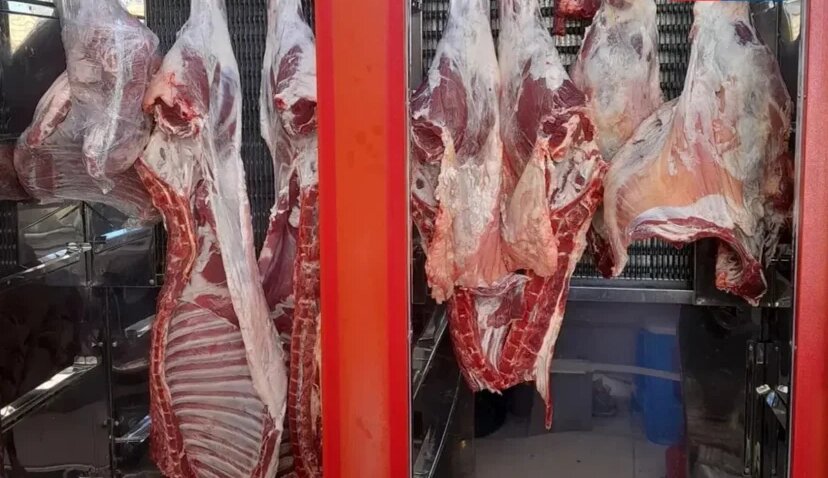گوشت به وفور موجود است/ نیازی به استفاده از ذخایر استراتژیک نیست گوشت به وفور موجود است/ نیازی به استفاده از ذخایر استراتژیک نیست