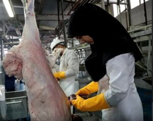 اعلام میزان ذبح رسمی انواع گوشت در فروردین ۱۴۰۵/ مرغ، فرمانروای بیرقیب ویترینها شد
