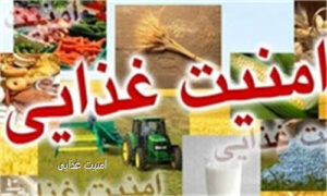 راستیآزمایی یک ادعا / وزیر جهادکشاورزی: ایران جزء ۵ کشور برتر در امنیت غذایی است / جایگاه جهانی ایران در شاخص گرسنگی کجاست؟