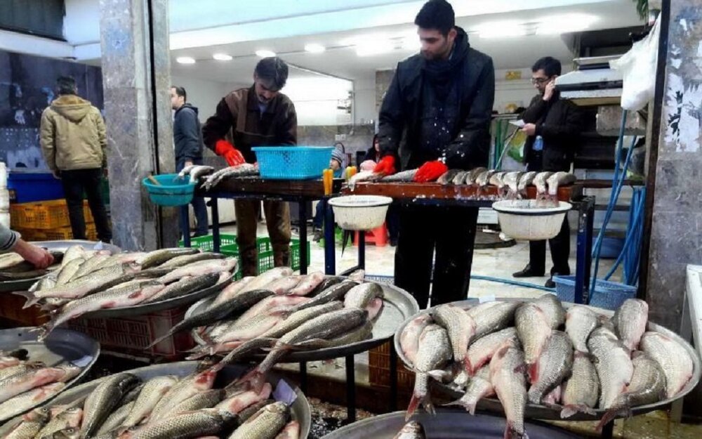 قیمت انواع ماهی در هفته پایانی خردادماه/ این ماهی کیلویی ۹۹۰ هزار تومان قیمت خورد قیمت انواع ماهی در هفته پایانی خردادماه/ این ماهی کیلویی ۹۹۰ هزار تومان قیمت خورد