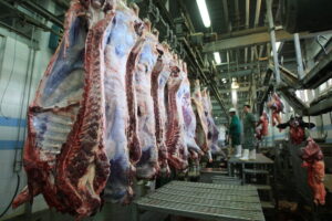 قیمت جدید گوشت قرمز ۱۹ خرداد ۱۴۰۵/ قیمت دل و جگر گوسفندی کیلویی از ۲ میلیون تومان گذشت + جدول